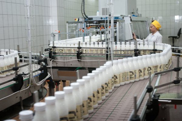 Роскачество: 75% молока в ЦФО соответствует стандартам качества