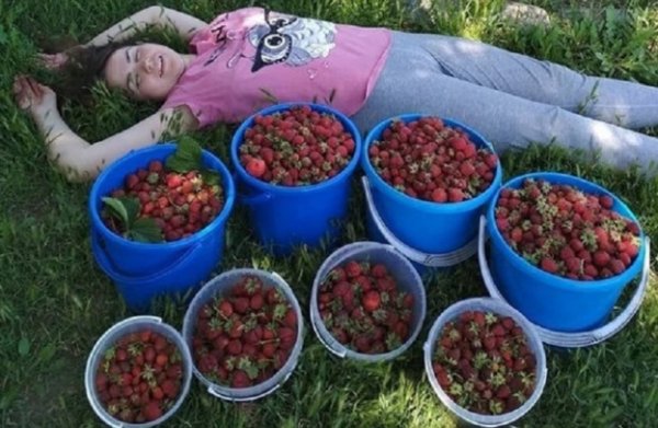 Воронежцы назвали оргазмом работу девушки на огороде