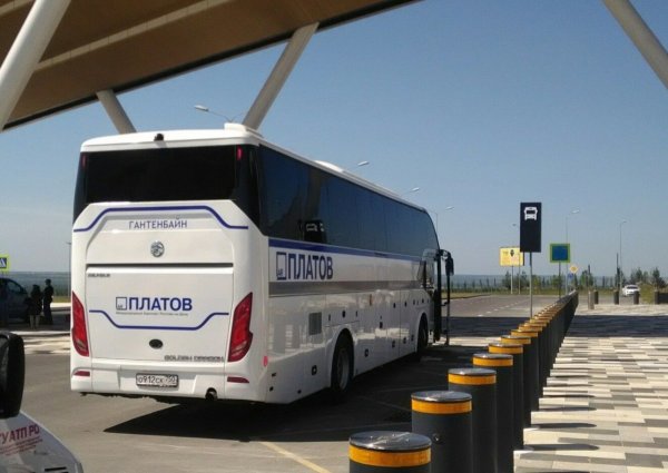 Теперь можно отследить онлайн рейсы автобусов до «Платова» №700 и №800