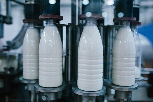 Россия и Белоруссия намерены снять ограничения на поставки молока