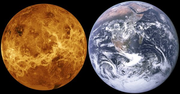 Жители России увидят сближение Луны с Венерой с 16 по 19 июня