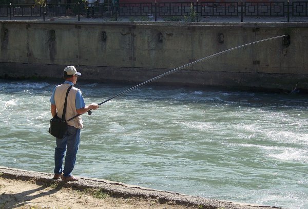 В Ростовской области рыбак выловил гигантского сома