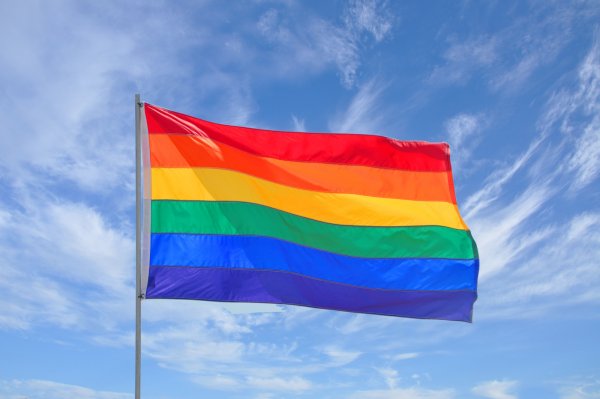 Власти Ростова заявили о толерантности горожан и призвали не бояться ущемления ЛГБТ