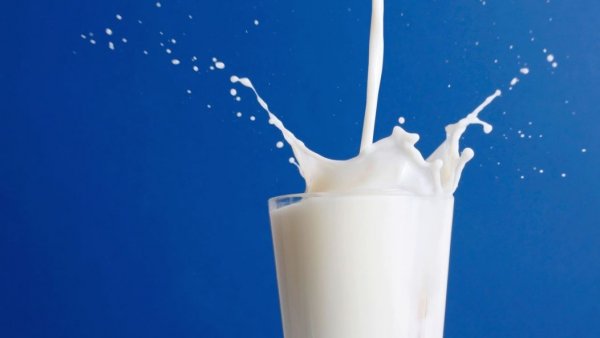 В магазинах Саратова обнаружили уникальное «молоко без молока»