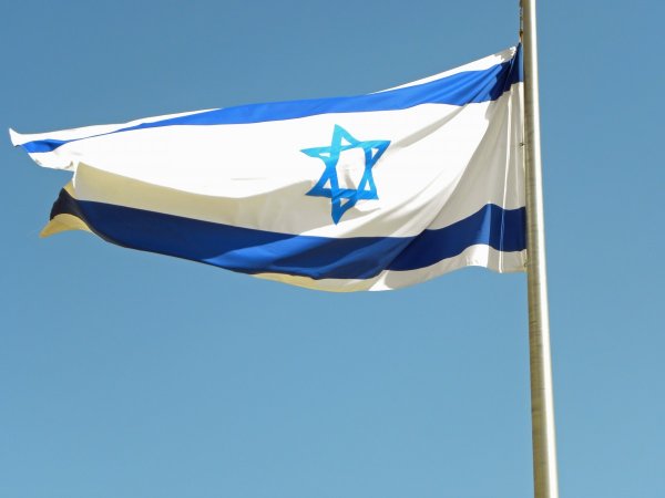 Взобравшуюся на израильский флаг «голую» активистку затравили в Сети