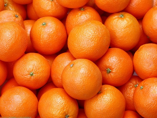 Стоимость апельсинов в Ростове внушила страх постоянным покупателям