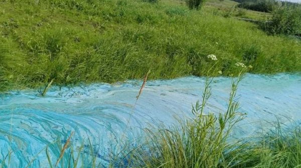 Минприроды Якутии отыщет причину окрашивания водоема в бирюзовый цвет