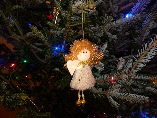 Новый год уже близко: В Ростове начали возводить главную елку