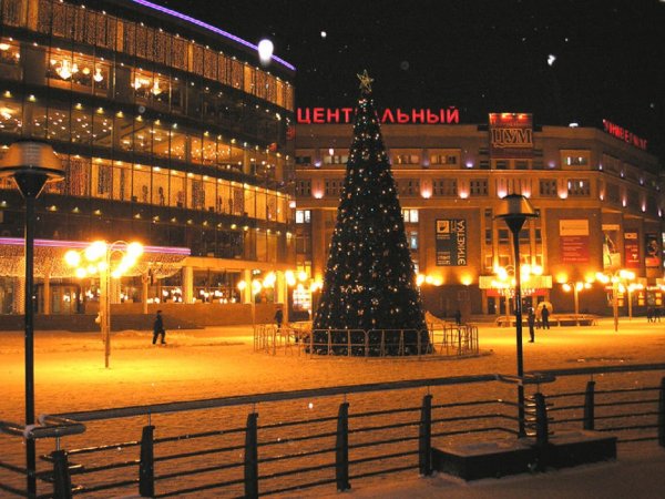 На главну новогоднюю елку в Нижнем Новгороде потратят больше 10 млн рублей